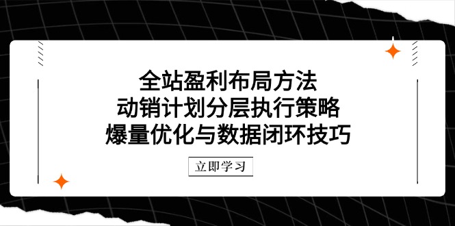 全站盈利布局方法：动销计划分层执行策略，爆量优化与数据闭环技巧-yingqiuwz