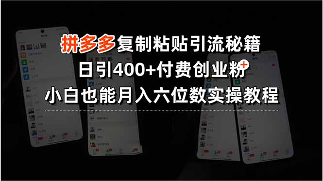 拼多多复制粘贴引流秘籍，日引400+付费创业粉，小白也能月入六位数实操…-yingqiuwz