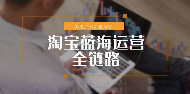 淘宝蓝海运营全链路，从选品到流量变现，小类目突围完整方案-yingqiuwz
