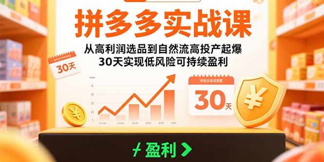 拼多多实战课：从高利润选品到自然流高投产起爆 30天实现低风险可持续盈利-yingqiuwz