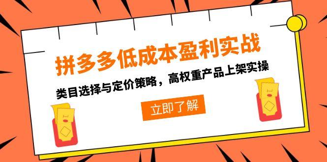 拼多多低成本盈利实战，类目选择与定价策略，高权重产品上架实操-yingqiuwz
