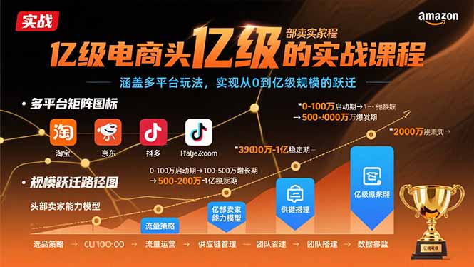 亿级电商头部卖家的实战课程：涵盖多平台玩法，实现从0到亿级规模的跃迁-yingqiuwz