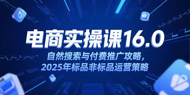 淘宝电商运营课16.0，自然搜索与付费推广攻略，2025年标品非标品运营策略-yingqiuwz
