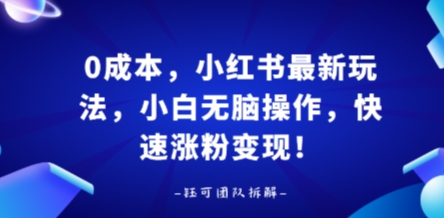 0成本，小红书最新玩法，小白无脑操作，快速涨粉变现-yingqiuwz