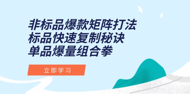 非标品爆款矩阵打法，标品快速复制秘诀，单品爆量组合拳-yingqiuwz