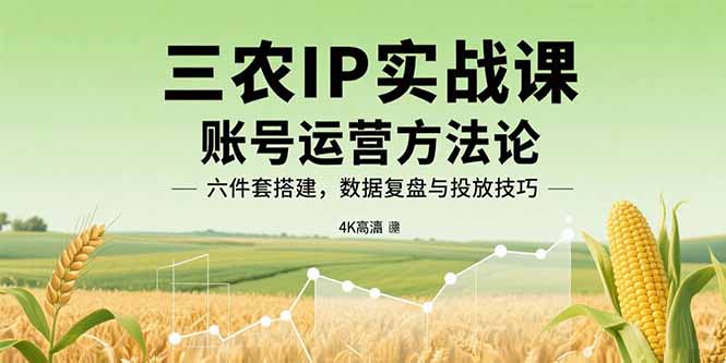三农IP实战课：账号运营方法论，六件套搭建，数据复盘与投放技巧-yingqiuwz