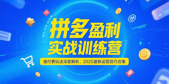 拼多多盈利实战训练营，强付费玩法深度解析，2025运营技巧合集-更新6月-yingqiuwz