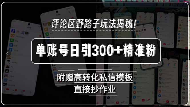 评论区野路子玩法揭秘！单账号日引300+精准粉，附赠高转化私信模板，直…-yingqiuwz