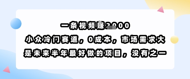 一条视频挣1k，小众冷门赛道，0成本，市场需求大，是未来半年最好做的项目，没有之一-yingqiuwz