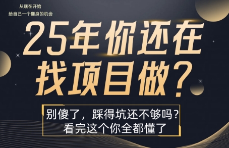 25年，你还在疯狂的找项目吗？别傻了，看完这个你都懂了【揭秘】-yingqiuwz