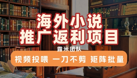 海外小说推广返利项目，视频投喂， 一刀不剪，矩阵批量-yingqiuwz