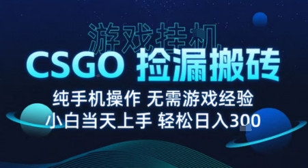 8月最新游戏搬砖，CSGO纯挂G，不需要玩游戏，实现真挂G，月入1W+【揭秘】-yingqiuwz