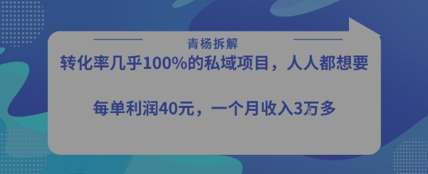 转化率最高的私域项目，每单利润40-50米，月入过1w-yingqiuwz