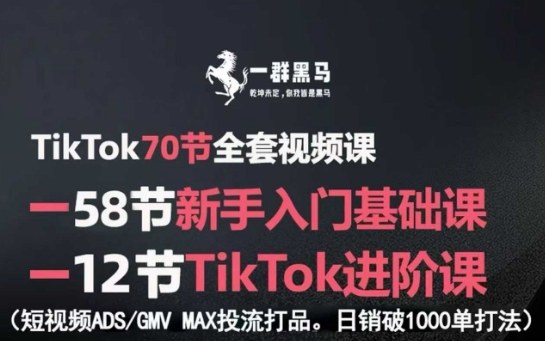 TikTok全套视频课，新手入门+进阶课，短视频ADS-GMV MAX投流打品，日销破1000单打法-yingqiuwz
