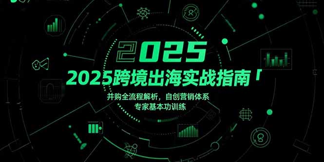 2025跨境出海实战指南，并购全流程解析，自创营销体系，专家基本功训练-yingqiuwz