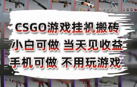 CSGO游戏挂G搬砖，小白纯手机即可操作，不用电脑打游戏，日入3张+，副业网创项目【揭秘】-yingqiuwz