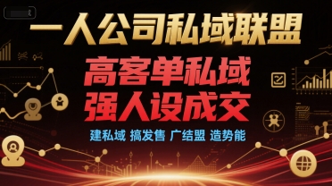 一人公司私域联盟，高客单私域，强人设成交，建私域 搞发售 广结盟 造势能-yingqiuwz