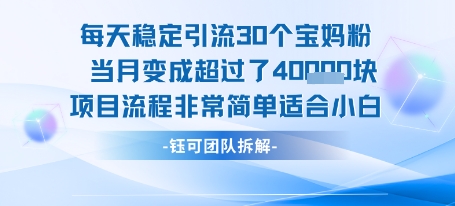 每天稳定引流30个人 当月变成超过了4个W项目流程非常简单适合小白-yingqiuwz