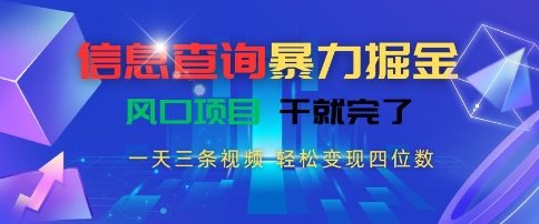 信息查询暴力掘金，一天三条视频，轻松变现四位数，风口项目干就完了【揭秘】-yingqiuwz