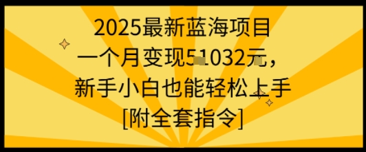 2025最新蓝海项目一个月变现1w+新手小白也能轻松上手【附全套指令】-yingqiuwz