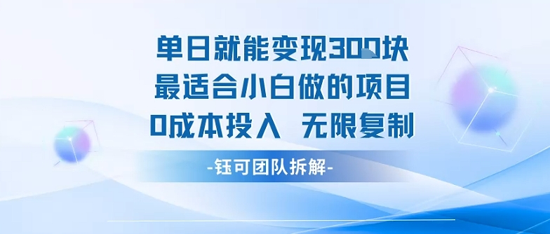 单日就能变现3张最适合小白做的项目0成本投入 无限复制-yingqiuwz