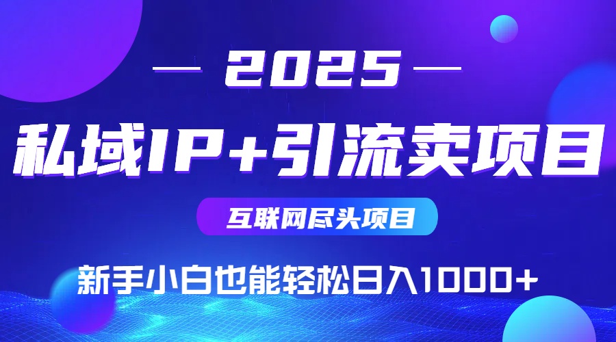 2025网创尽头项目，私域IP+引流，新手小白也能在家日入1000+-yingqiuwz