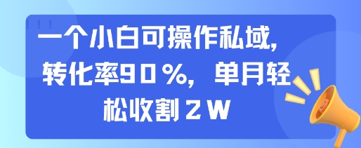 一个小白可操作私域，转化率90%，单月轻松收割2W-yingqiuwz