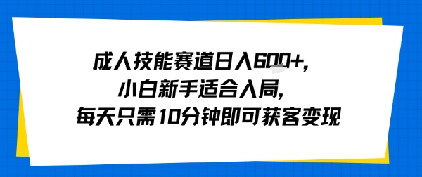 成人技能赛道日入多张，小白新手适合入局，每天只需10分钟即可获客变现-yingqiuwz