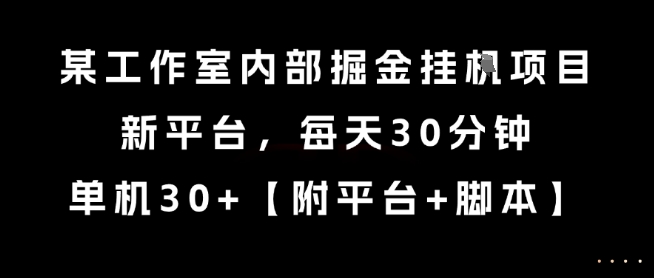 某工作室内部掘金挂G项目，新平台，每天30分钟，单机30+【揭秘】-yingqiuwz