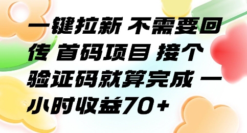 一键拉新 不需要回传 首码项目 接个验证码就算完成 一小时收益70+【揭秘】-yingqiuwz