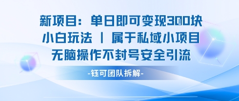 新项目单日即可变现3张的小白玩法无脑操作不封号安全引流-yingqiuwz
