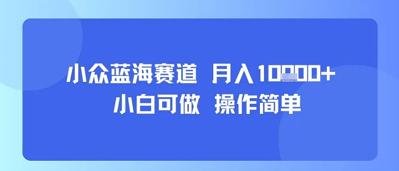 小众蓝海赛道，小白可做，操作简单，每天30分钟，月入1W+-yingqiuwz