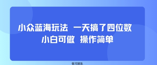 小众蓝海玩法 一天搞了四位数 小白可做 操作简单-yingqiuwz