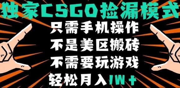 CSGO自动捡漏项目，最新独家玩法，不是美区搬砖，不需要了解和玩游戏，新手小白轻松月入1W+【揭秘】-yingqiuwz