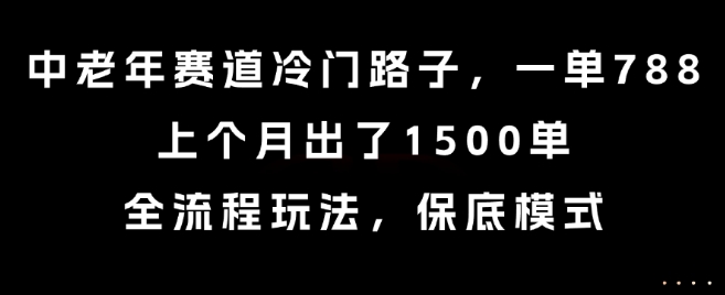 中老年赛道冷门路子，一单788，上个月出了1500单，全流程玩法，保底模式【揭秘】-yingqiuwz
