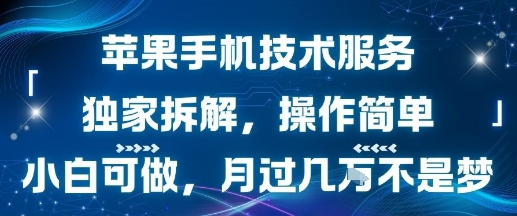 苹果手机技术服务，独家拆解，操作简单，小白可做，月过1W不是梦-yingqiuwz