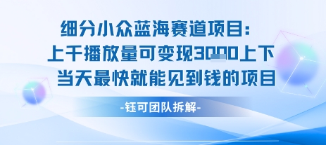 小众蓝海赛道项目：当天变现1k+适合新手操作 +适合长期玩-yingqiuwz