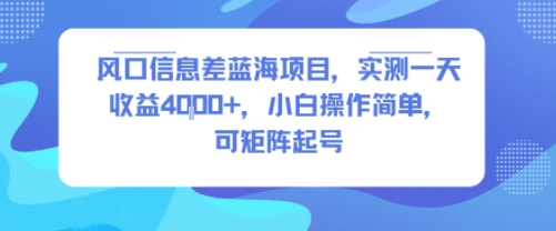 风口信息差蓝海项目，实测一天收益4k+，小白操作简单，可矩阵起号-yingqiuwz