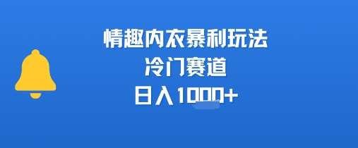 情趣内衣暴利玩法，冷门赛道，日入1k+-yingqiuwz