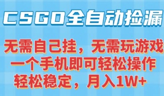 CSGO自动捡漏项目，最新独家玩法，一个手机可操作，新手小白轻松月入1W+，操作简单易上手【揭秘】-yingqiuwz