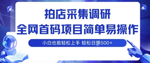 拍店采集调研，全网首码项目，简单易操作， 小白也能轻松上手，多账号操作，轻松日入5张【揭秘】-yingqiuwz