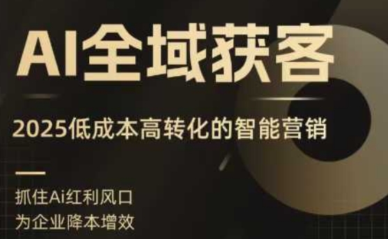 AI全域获客实训营，2025低成本高转化的智能营销，精准找客，高效营销-yingqiuwz