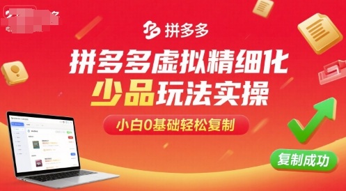 拼多多虚拟精细化少品玩法实操，小白0基础轻松复制-yingqiuwz