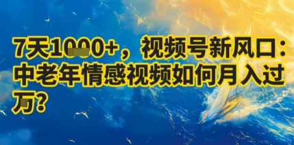 7天收益1k+，视频号新风口：中老年情感视频如何月入过W?-yingqiuwz