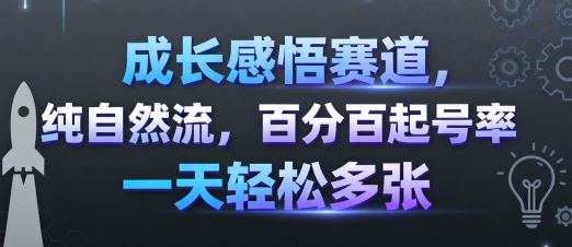 成长感悟赛道，纯自然流，百分百起号率 一天轻松多张-yingqiuwz