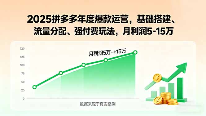 2025拼多多年度爆款运营，基础搭建、流量分配、强付费玩法，月利润5-15万-yingqiuwz