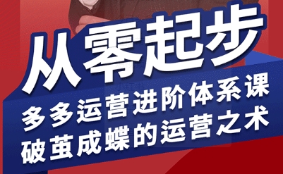 拼多多运营进阶系统课，从零起步，多多运营进阶体系课，破茧成蝶的运营之术(更新9月)-yingqiuwz