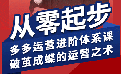 海神·拼多多运营进阶系统课(更新9月)-yingqiuwz