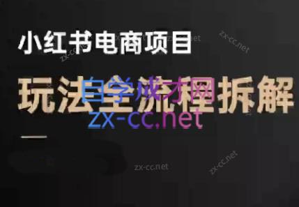 菲菲老师·小红书电商玩法(更新9月)-yingqiuwz