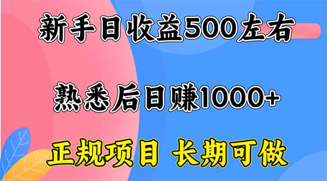 新手日收益500+ 正规项目 长期可做-yingqiuwz